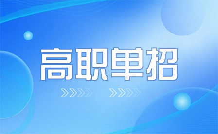 2024河北高职单招大类选择攻略