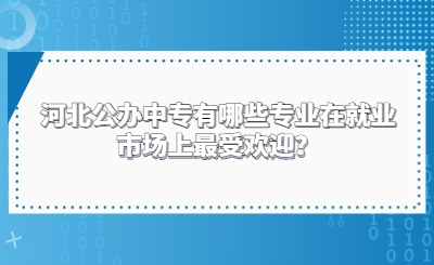 河北公办中专有哪些专业在就业市场上最受欢迎？