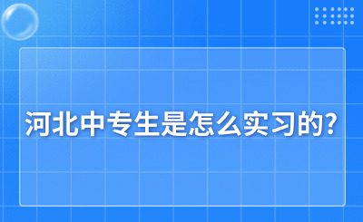 河北中专生是怎么实习的?一共有哪几种方式