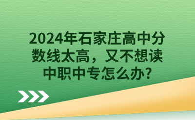2024年石家庄高中分数线太高，又不想读中职中专怎么办?