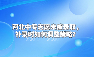 河北中专志愿未被录取，补录时如何调整策略？