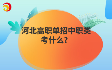 河北高职单招中职类考什么？