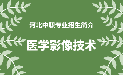 河北中职医学影像技术专业招生情况（2024年更新版）