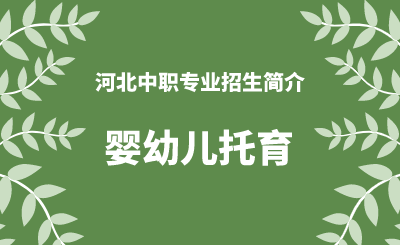 河北中职婴幼儿托育专业招生情况（2024年更新版）