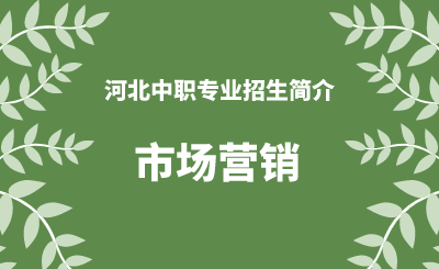 河北中职市场营销专业招生情况（2024年更新版）