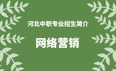 河北中职网络营销专业招生情况（2024年更新版）