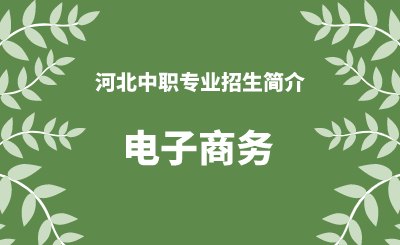 河北中职电子商务专业招生情况（2024年更新版）