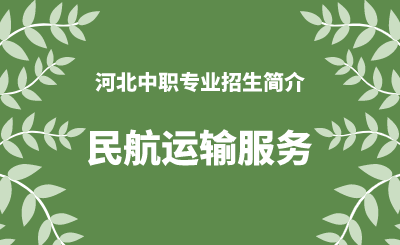 河北中职民航运输服务专业招生情况（2024年更新版）