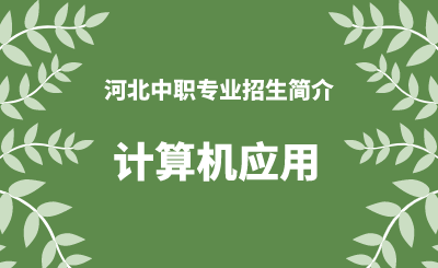 河北中职计算机应用专业招生情况（2024年更新版）