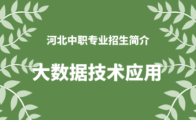 河北中职大数据技术应用专业招生情况（2024年更新版）