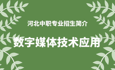 河北中职数字媒体技术应用专业招生情况（2024年更新版）