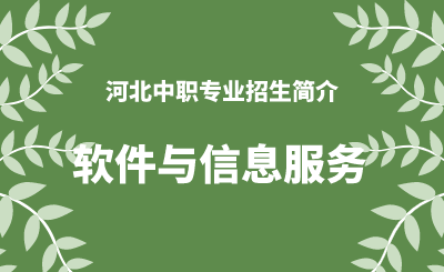 河北中职软件与信息服务专业招生情况（2024年更新版）