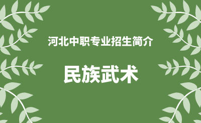 河北中职民族武术专业招生情况（2024年更新版）