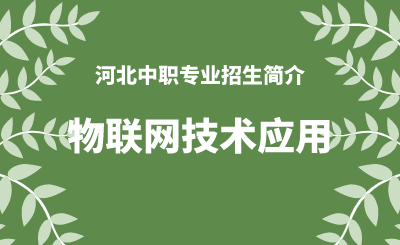 河北中职物联网技术应用专业招生情况（2024年更新版）