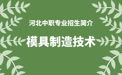 河北中职模具制造技术专业招生情况（2024年更新版）