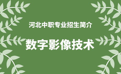 河北中职数字影像技术专业招生情况（2024年更新版）