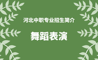 河北中职舞蹈表演专业招生情况（2024年更新版）