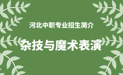 河北中职杂技与魔术表演专业招生情况（2024年更新版）