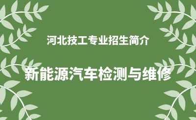 河北技工新能源汽车检测与维修专业招生情况（2024年更新版）